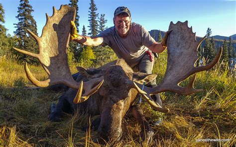 maine moose hunt drawing.